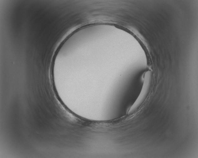 X0000082141293200702092115