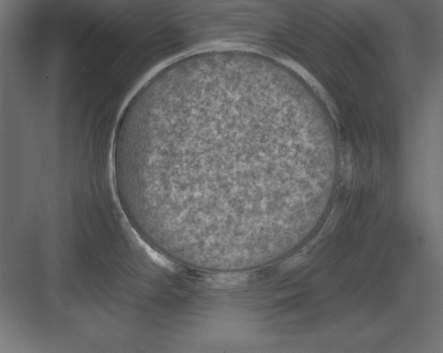 X0000082141294200702092115