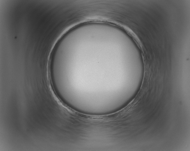 X0000082141295200702092115