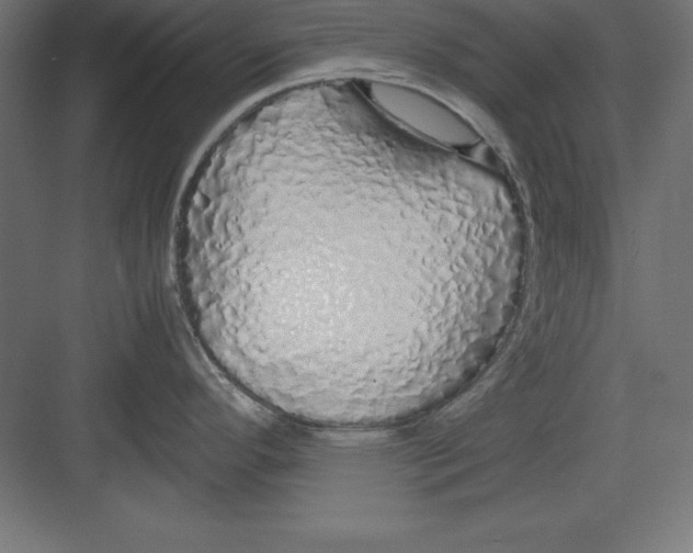 X0000082141296200702092115