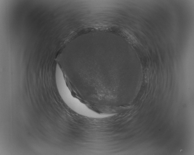 X0000082141298200702092115