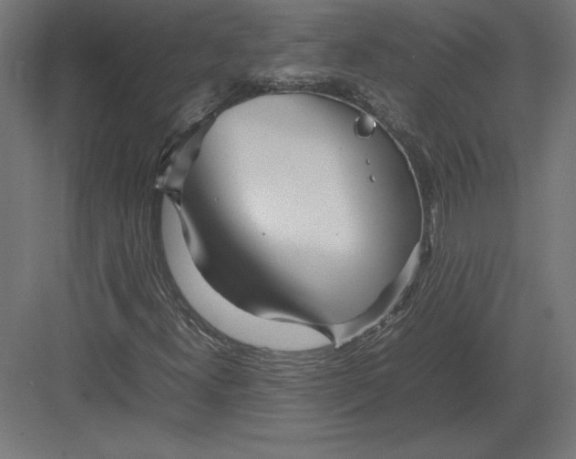 X0000082141300200702092115