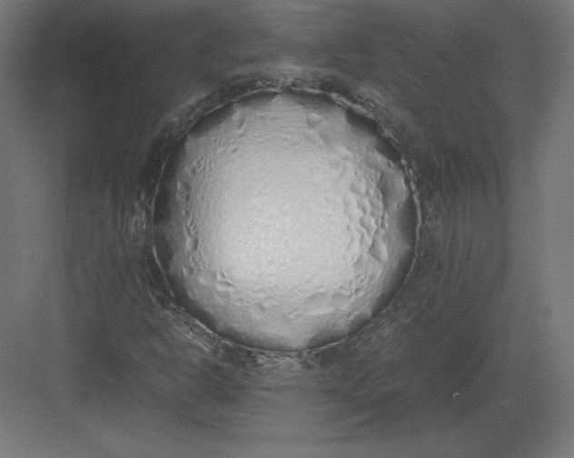 X0000082141302200702092115