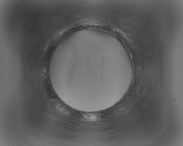 X0000082141303200702092115