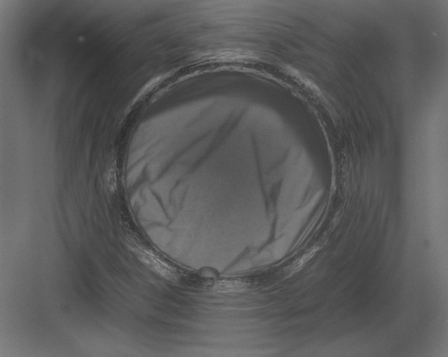 X0000082141306200702092115