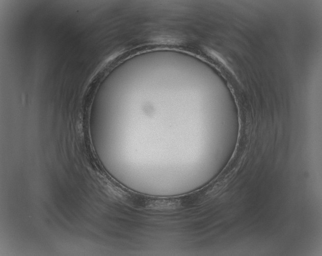 X0000082141307200702092115