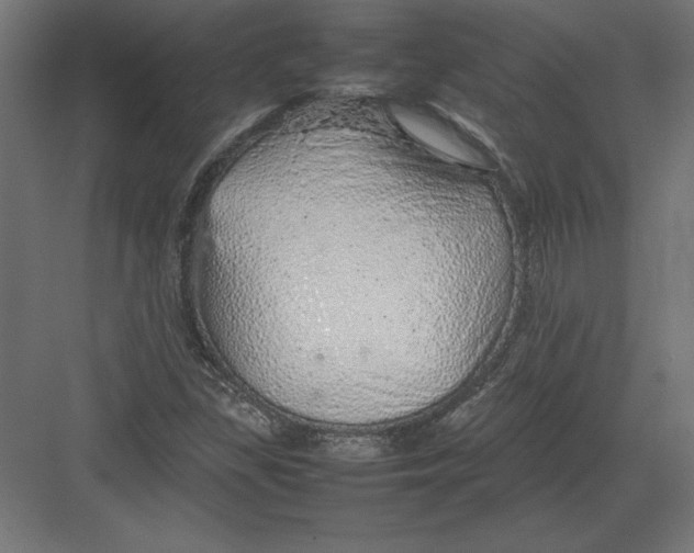 X0000082141309200702092115