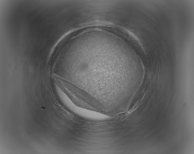 X0000082141310200702092115