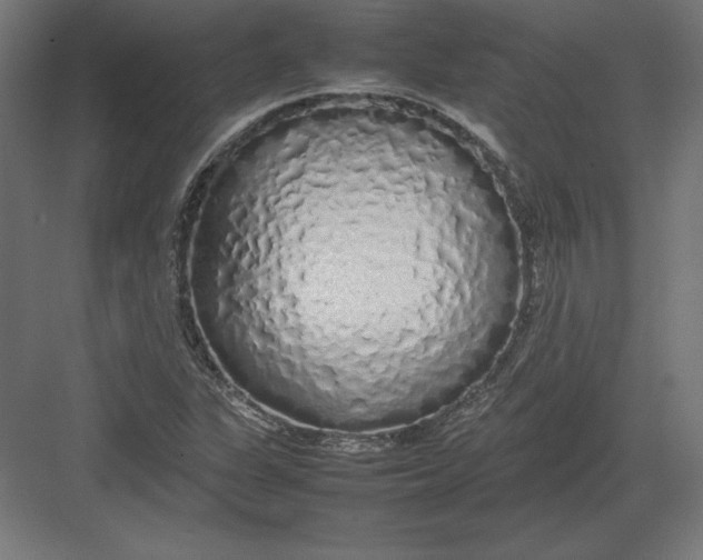 X0000082141311200702092115