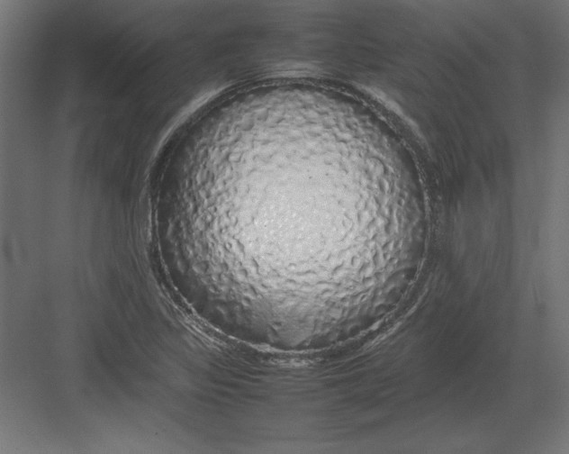 X0000082141317200702092115