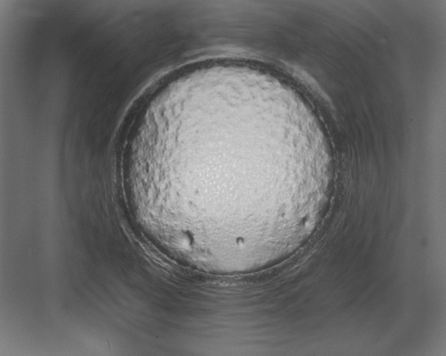 X0000082141318200702092115