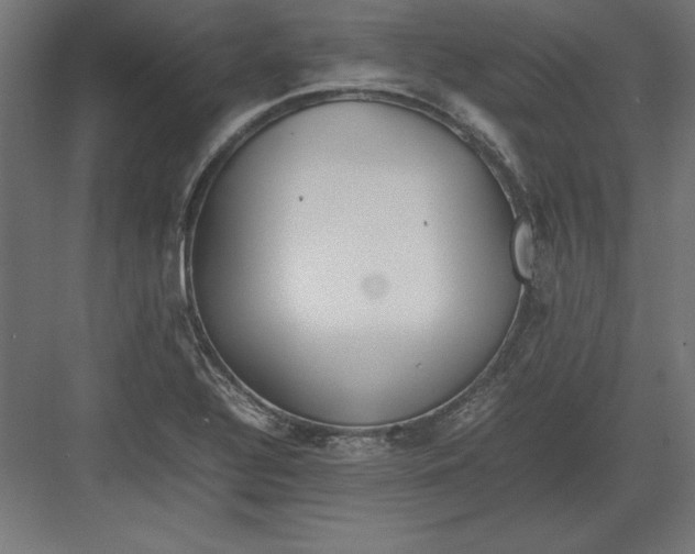 X0000082141320200702092115