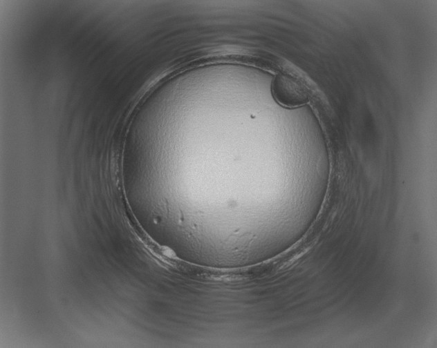 X0000082141321200702092115