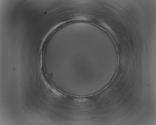 X0000082141323200702092115