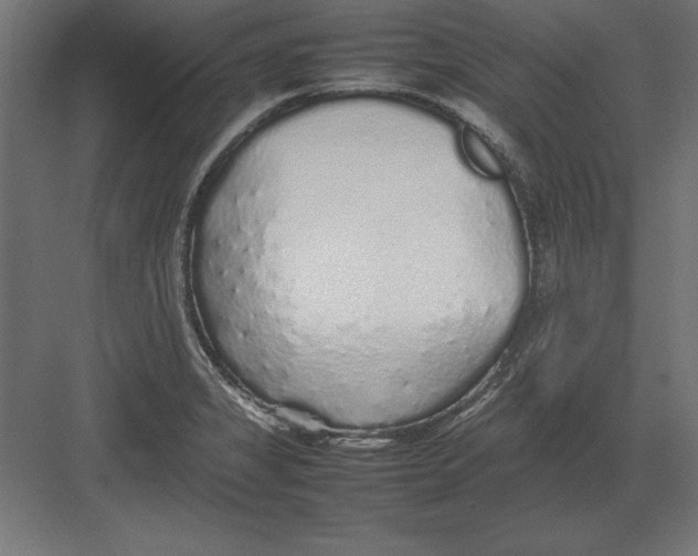 X0000082141325200702092115