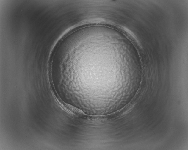 X0000082141326200702092115