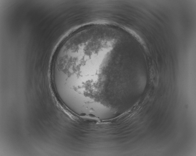 X0000082141327200702092115