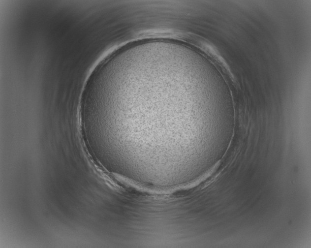 X0000082141328200702092115