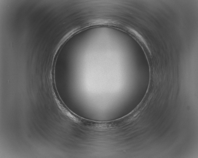 X0000082141330200702092115