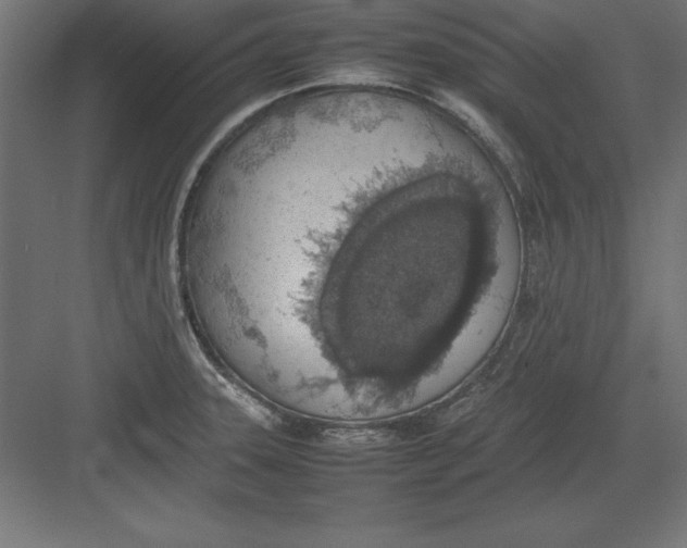 X0000082141331200702092115