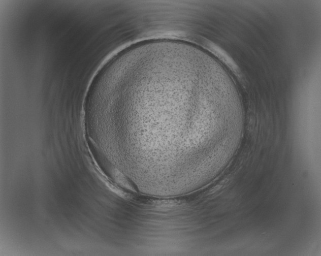 X0000082141332200702092115