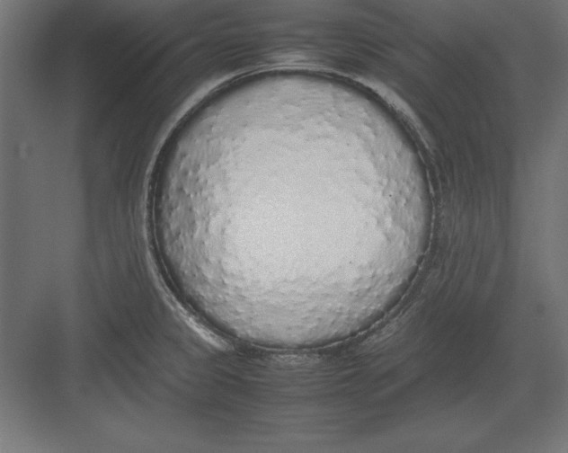 X0000082141333200702092115