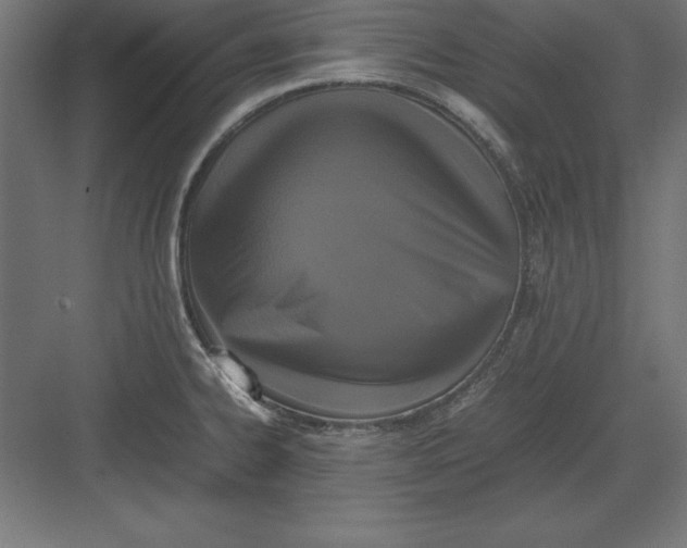 X0000082141334200702092115