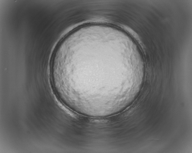 X0000082141335200702092115