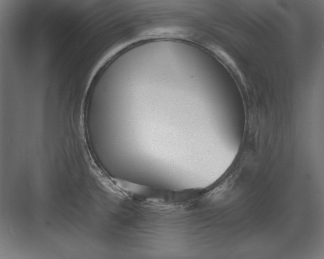 X0000082141336200702092115