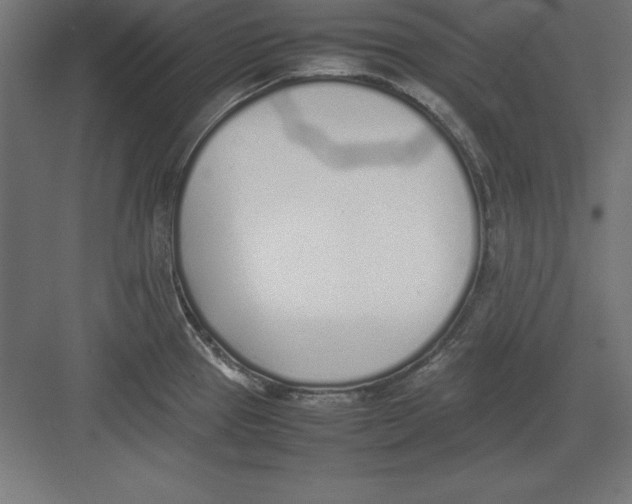 X0000082141337200702092115