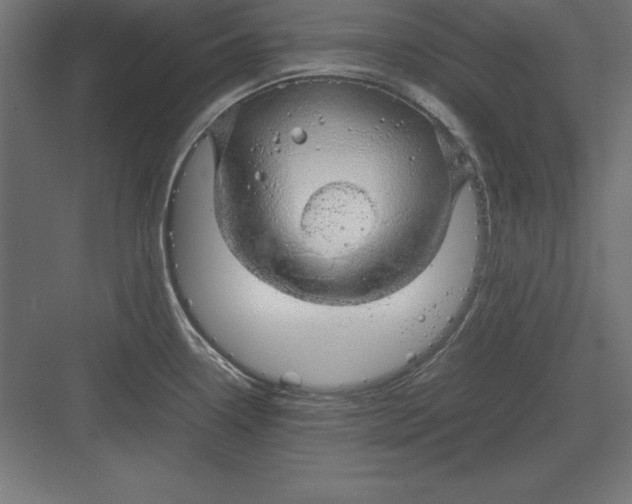 X0000082141338200702092115