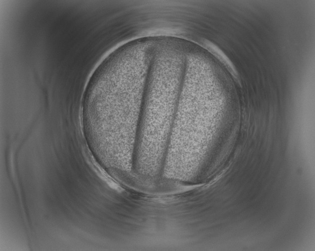 X0000082141340200702092115