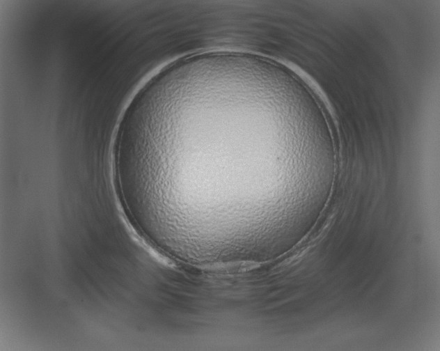 X0000082141341200702092115