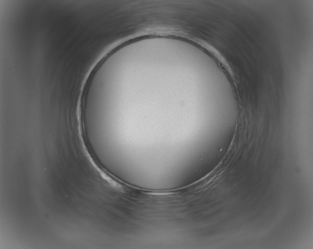 X0000082141343200702092115