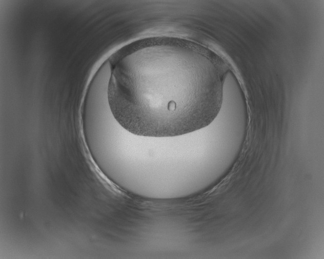 X0000082141344200702092115