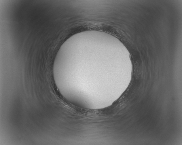 X0000082141345200702092115