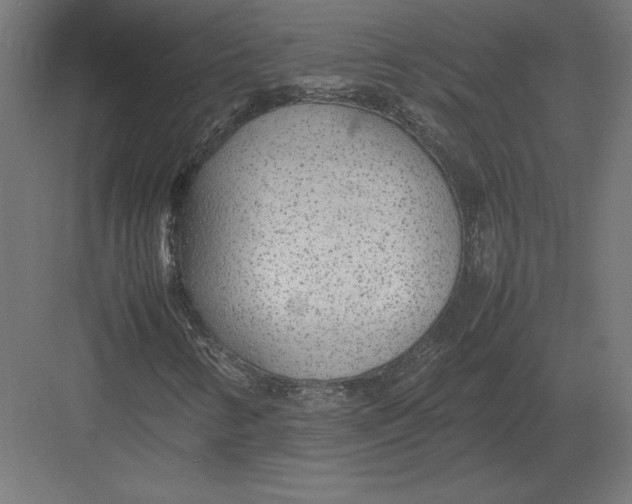 X0000082141346200702092115