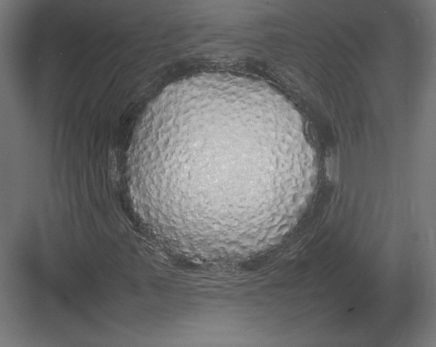 X0000082141347200702092115