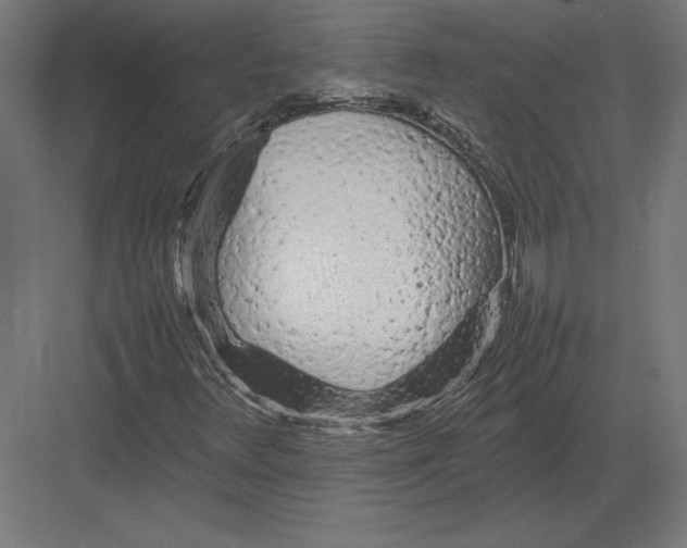 X0000082141348200702092115