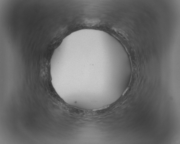 X0000082141349200702092114