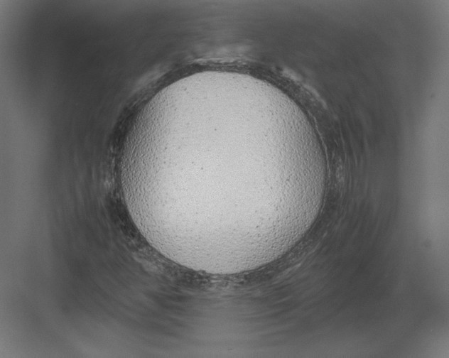 X0000082141350200702092114