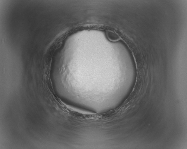 X0000082141351200702092114