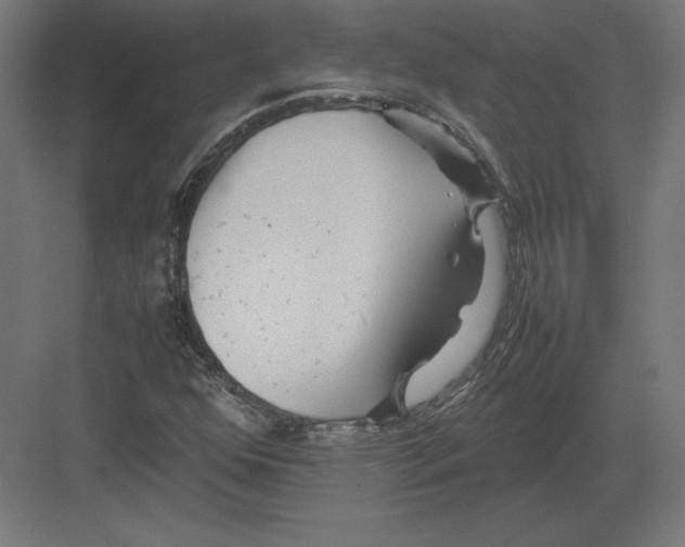 X0000082141352200702092114