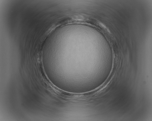 X0000082141353200702092114