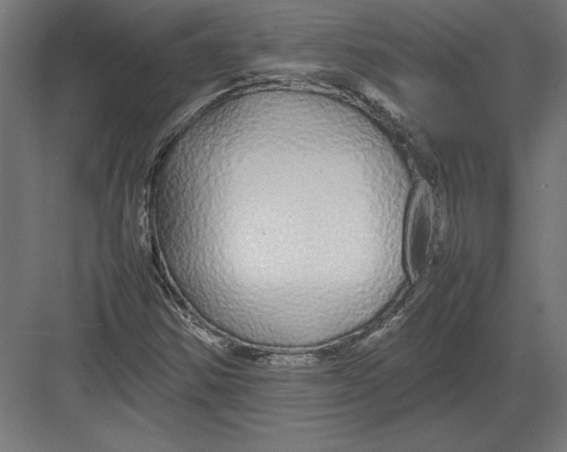 X0000082141354200702092114