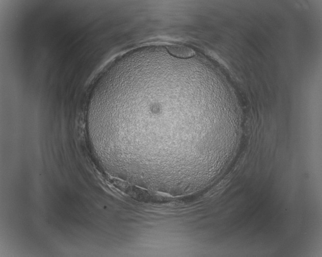 X0000082141355200702092114