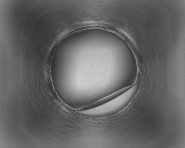 X0000082141357200702092114