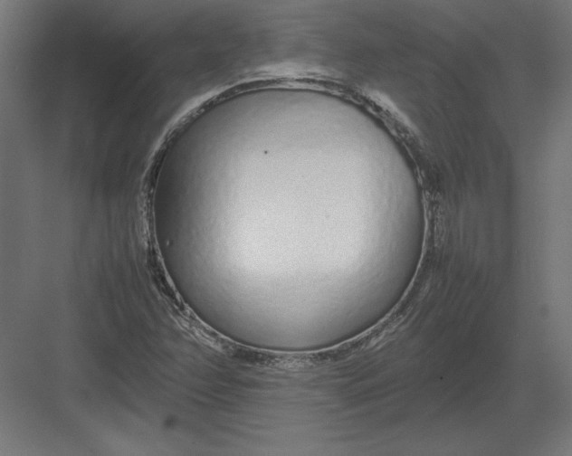 X0000082141358200702092114