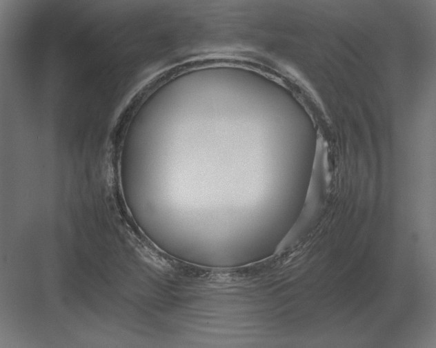 X0000082141360200702092114