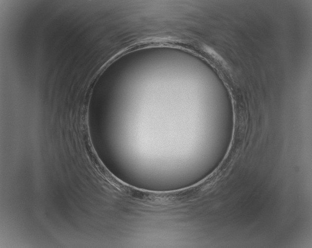 X0000082141361200702092114